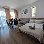 Flamingo 20 Miedzyzdroje