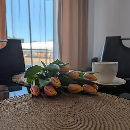 Flamingo 20 Apartment Miedzyzdroje
